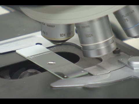 Середина земли 09.12.15