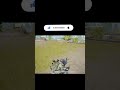 Intense1vs4 clutches #gaming #esports #gamer #mobilegaming #pubgmobile@Shorts @TitanTrox