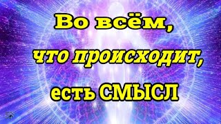 ЖИЗНЬ ПОСЛЕ СМЕРТИ. Аудиокнига  -11/ Д.Кэннон (nde 2024) ЭзотерВеда