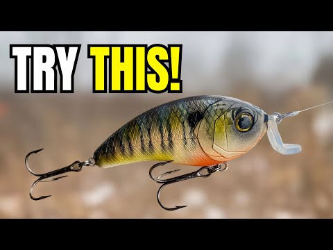 BEST Spring Crankbait MOST Anglers Have NEVER Fished (Hybrid Hunter & Swank)