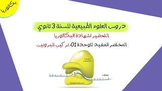 المختصر المفيد للوحدة 01: تركيب البروتين | بكالوريا علوم تجريبية و رياضيات