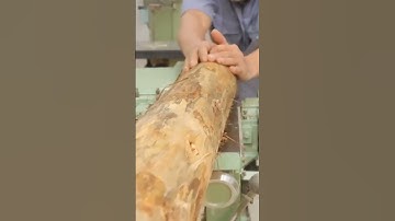 #shorts Build A Simple Table From Monolithic Tree Trunks #2702