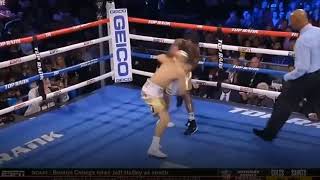 How Teofimo Lopez Destroyed Richard Commey