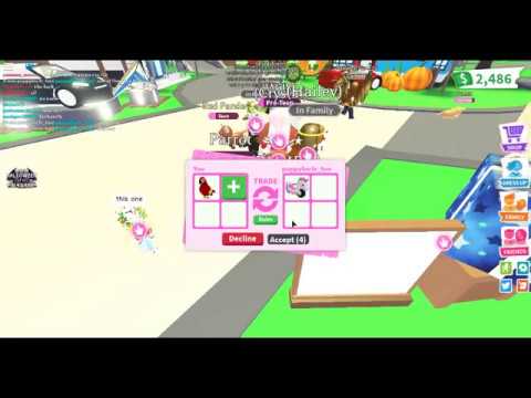 Adopt Me I Traded Parrot For Unicorn Cycle Youtube - adopt me roblox parrot robuxy com ad