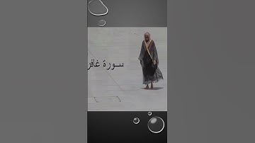 Sheikh Shuraim Sura Ghafir سورة غافر الشيخ سعود الشريم v77-81