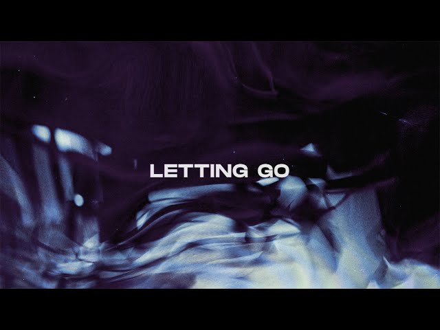 Thomas Gold & R3SPAWN ft. David Shane - Letting Go (Official Lyric Video) class=