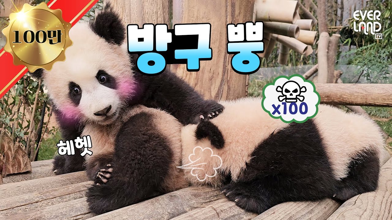 [ENG] 🐼북적북적🐼 알콩달콩💕 사랑스러움으로 꽉찬 바오패밀리│#판다와쏭 #133