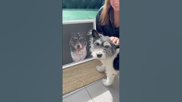 Your photo canvas print in premium frame | CanvasOnSale.com