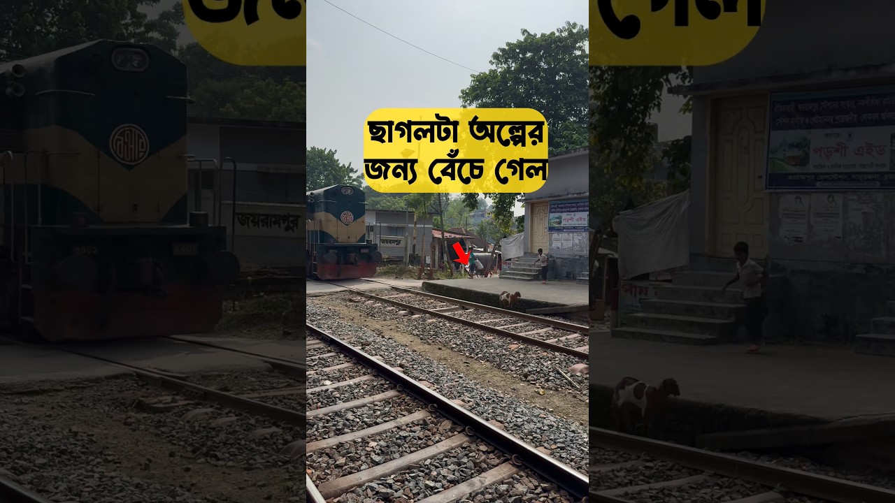 আল্লাহ চাইলে সবকিছু পারে আলহামদুলিল্লাহ