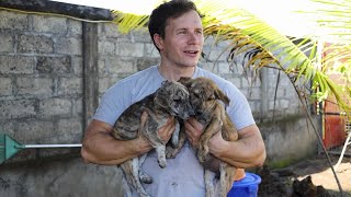 My Puppy Rescue Garden in Bali