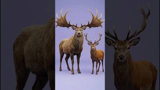 Prehistoric Giants vs Today’s Animals | Arcane Mutation