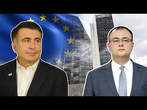 ბრეგაძე არ აღიარებს, რომ ელჩებთან მიხეილ სააკაშვილის გადაყვანაზე ისაუბრეს