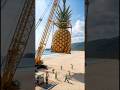 Turning a Giant Pineapple into a tiny restaurant