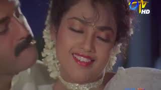 Meena Hot Navel Meena Hot Navel Compilation Meena Edit