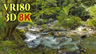 [ 8K VR180 3D ] 桐生川源流林（森林浴の森日本100選）の清流 Beautiful mountain stream at the source of the Kiryu River