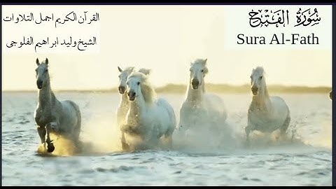 سورة الفتح تلاوة نادرة وقديمة مترجمة تركي الشيخ وليد ابراهيم الفلوجي