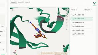 Advanced Protein-Ligand Docking with smina: Now Available on Vecura Guide