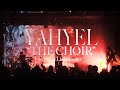 yahyel - TAO(Live From THE CHOIR in LIQUIDROOM, TOKYO)