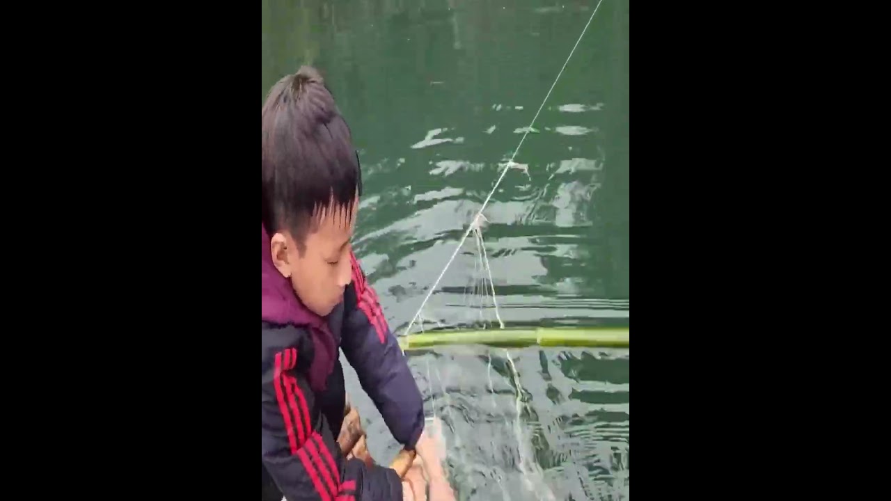 Traditional Net Fishing | Catching Jumping Carp for the Market