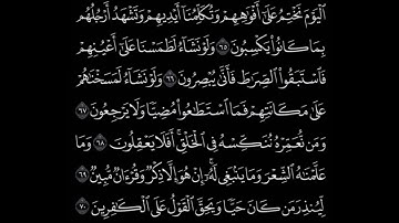 اليوم نختم علي أفواههم وتكلمنا أيديهم - سوره يس