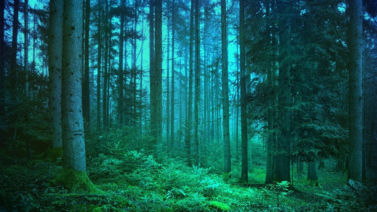 Beautiful Fantasy Music - Elf Tribes  | Enchanting, Magical, Celtic