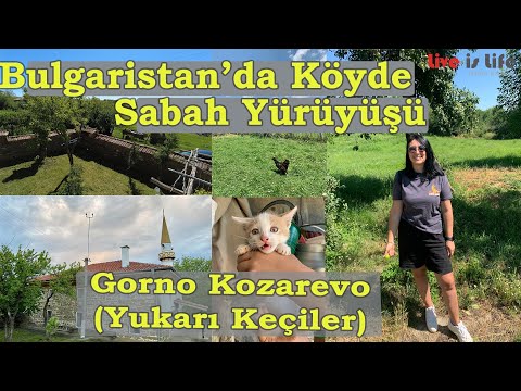 KÖYDE SABAH YÜRÜYÜŞÜ l Bulgaristan Omurtag Yukarı Keçiler(Gorno Kozarevo) Yemyeşil doğa l BG VLOG #4