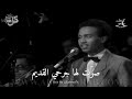 حالات واتساب محمد عبده يوم اقبلت
