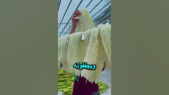 كيف تصنع الصين أحذية مذهلة من اللُوفة؟ 🌿👟