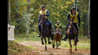 Дистанционные конные пробеги России. Отрада Endurance Cup 2020