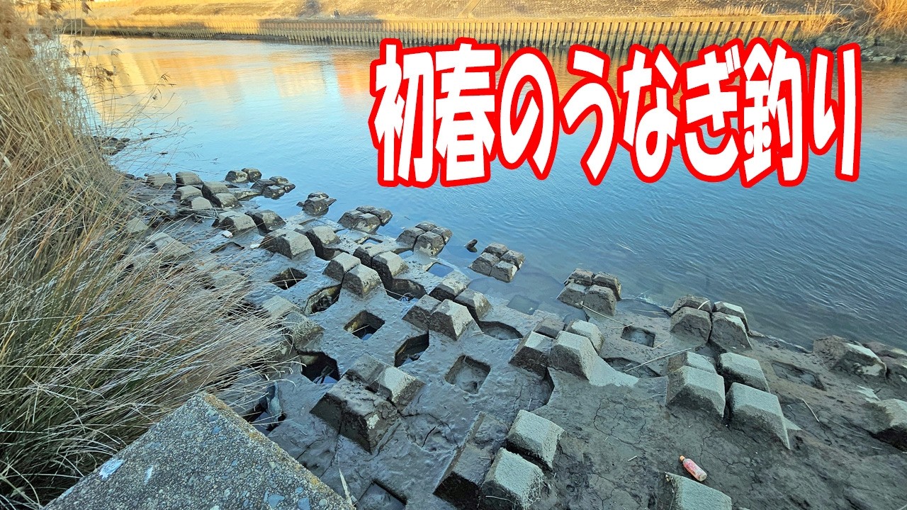 強風の吹く冬の夜にうなぎ釣りしてみた結果がヤバかった！【寒うなぎ釣り】