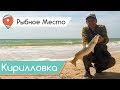 Рыбное место. Ловля пеленгаса в Азовском море. Рыбалка с квадрокоптером.