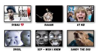 Every Meme of 2025 Explained (Part.1)