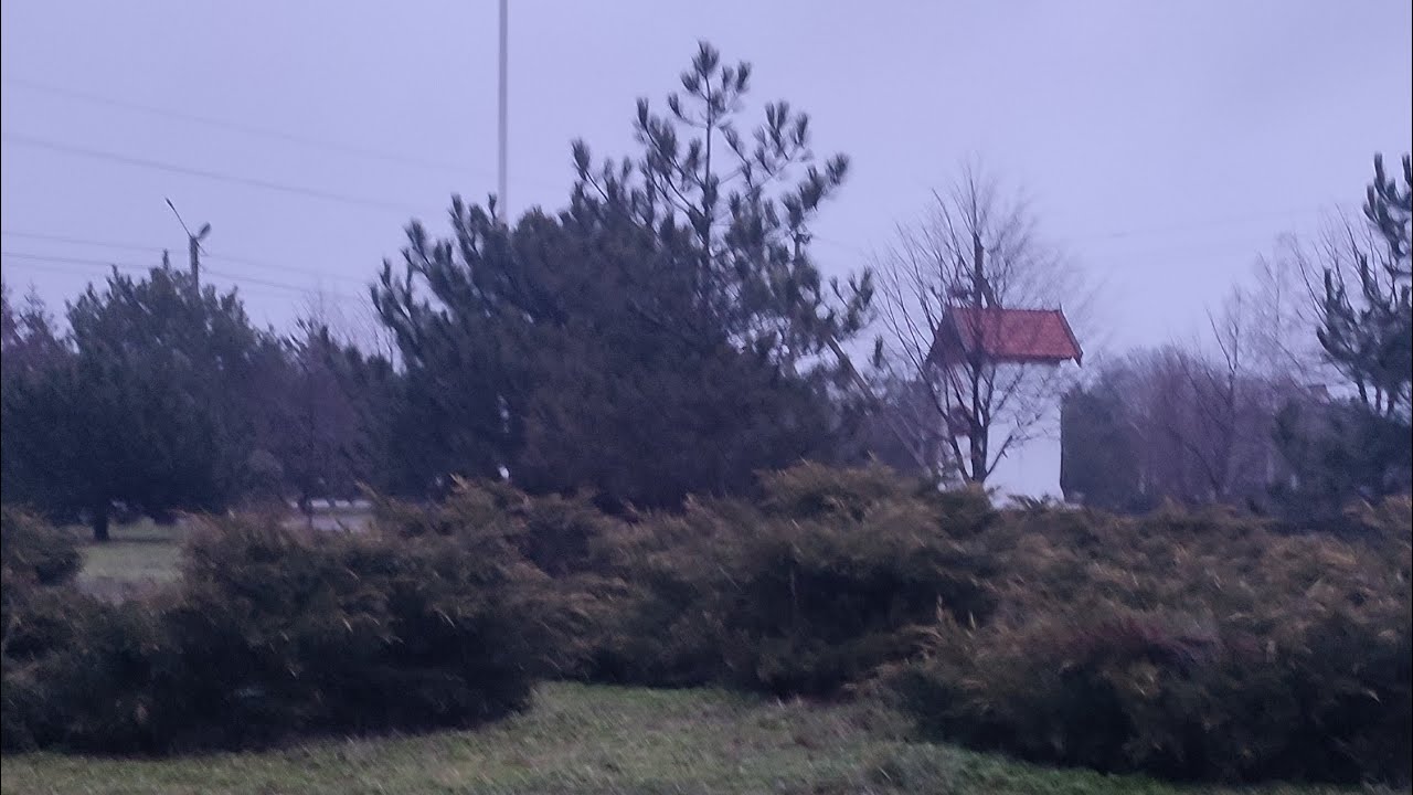 З ким поведешся, того й наберешся.