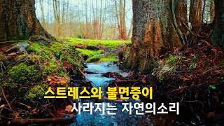 마음이 편해지는 계곡 물소리