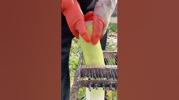 Alat cerdas sederhana untuk memotong ubi dengan mudah #shorts