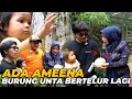 KEJUTAN TERBESAR ATTA, AUREL, AMEENA..! MUNCULNYA TELOR RAKSASA BURUNG UNTA..!