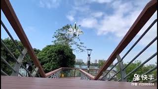 JJRC W500 6CH Multi-functional Vertical Takeoff Landing VTOL 3D/6G Aerobatics EPO Gyro RC Airplane