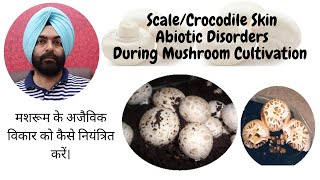 Mushroom Cultivation: Scale and Crocodile Skin, an Abiotic Disorder, and How to Control It #Mushr... screenshot 4