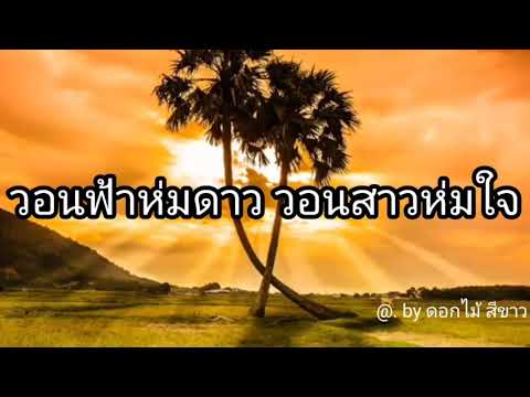 #วอนฟ้าห่มดาว_วอนสาวห่มใจ​ #หนู_มิเตอร์​