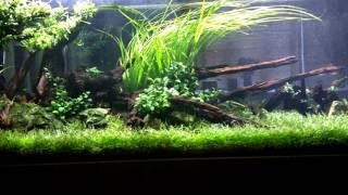 500l Tank with Fluval FX6 with spray bar.