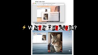 This Mac Shortcut Saves So Much Time ⏱️