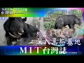 【MIT台灣誌324】熊出沒‧注意熊‧深入黑熊基地