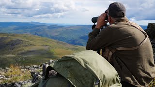 3 Days Hunting Dall Sheep in the Alaska Mountains