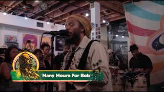 Ziggy Marley - Many Mourn For Bob | 2026 Licorice Pizza Stream