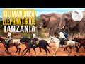 Horse riding safari tanzania  part 3 of our out of africa series  client perspective