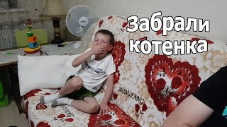 VLOG: Клим привязался к котенку / Выбираем кровать
