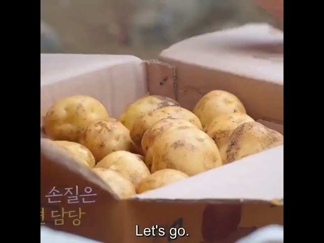 “this is the most number of 🥔 i have ever peeled in my lifetime” 😭 lol jinyoung 😂❤️ *cute* class=