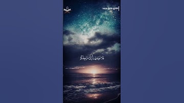 القارئ طارق محمد تلاوة هادئة من سورة العنكبوت