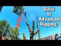 This Rigging Point Paid Off BIG TIME For This Tree Removal!