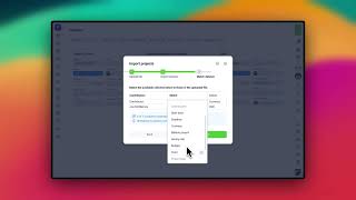 How to import data to Plutio